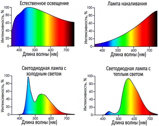 Что лучше энергосберегающие или светодиодные лампы: сравнение
